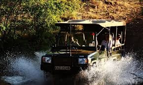 Exclusive Safari to Meru National Park